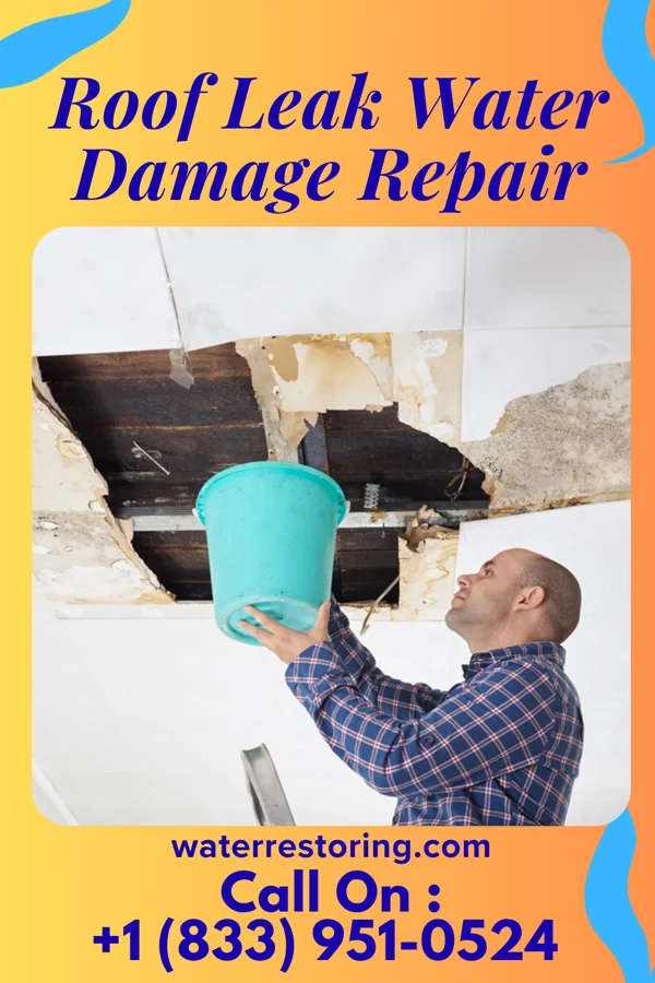 Roof Leak Water Damage Repair in Manchester, TN