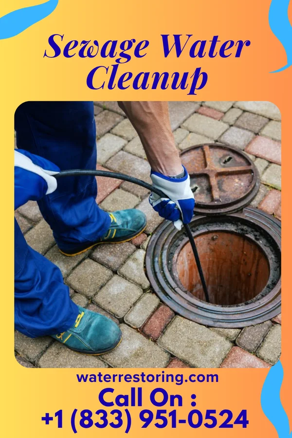 Sewage Water Cleanup in Manchester, TN