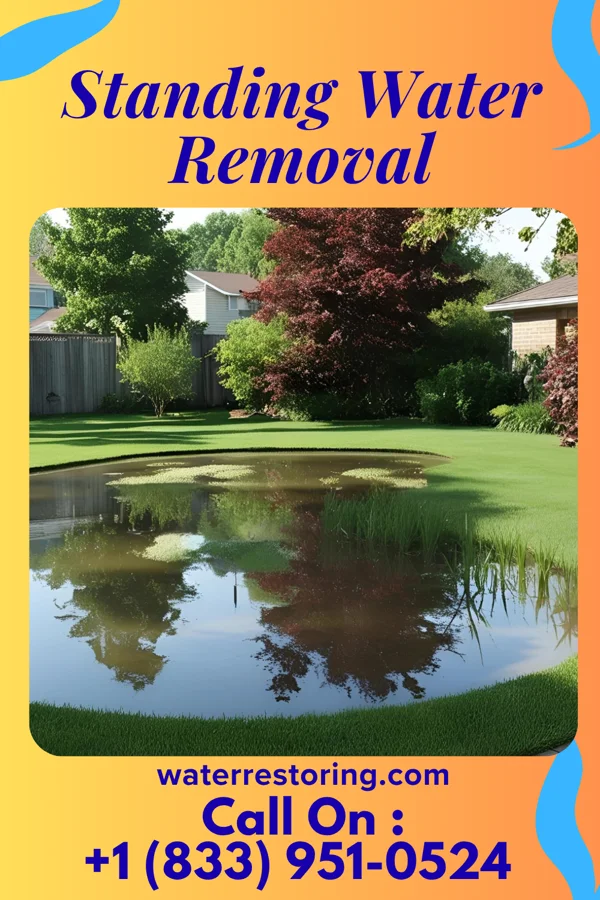 Standing Water Removal in Manchester, TN